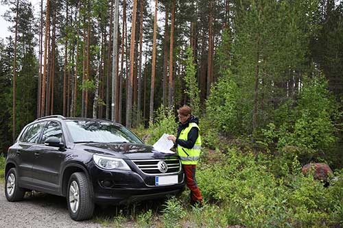 Teija Hyytiäinen-Koskimäki granskar sina papper på bilens motorplåt på en skogsväg.