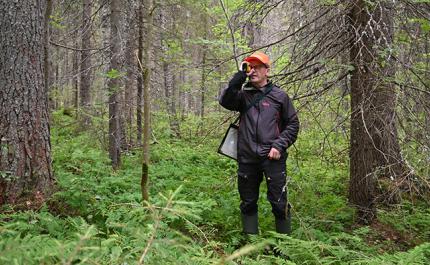 Man bör identifiera särskilt viktiga livsmiljöer i naturen