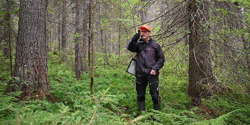 Juha Niemi mäter trädets höjd i skogen. 
