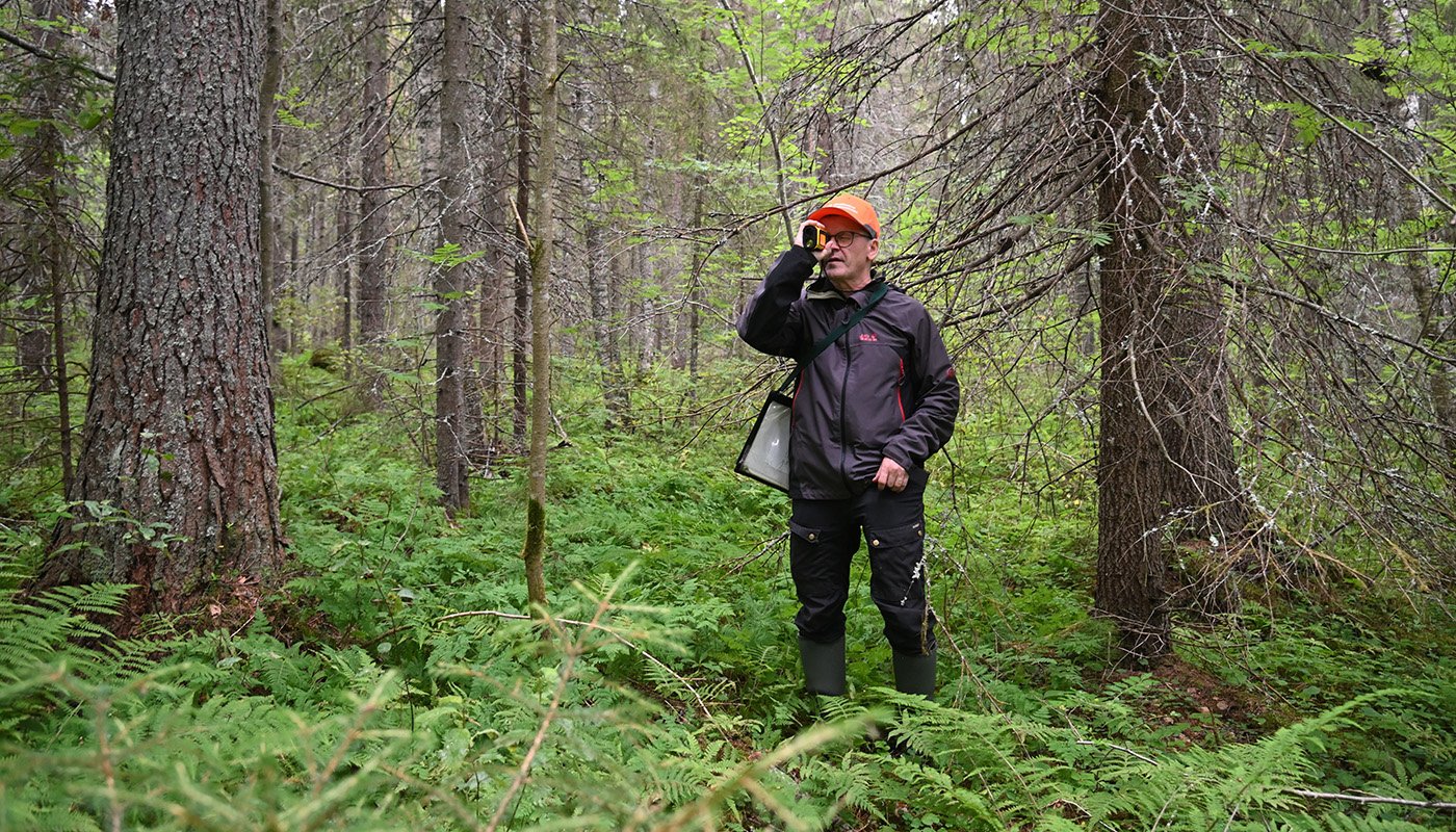 Juha Niemi mäter trädens höjd