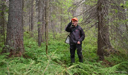 Juha Niemi mäter trädens höjd