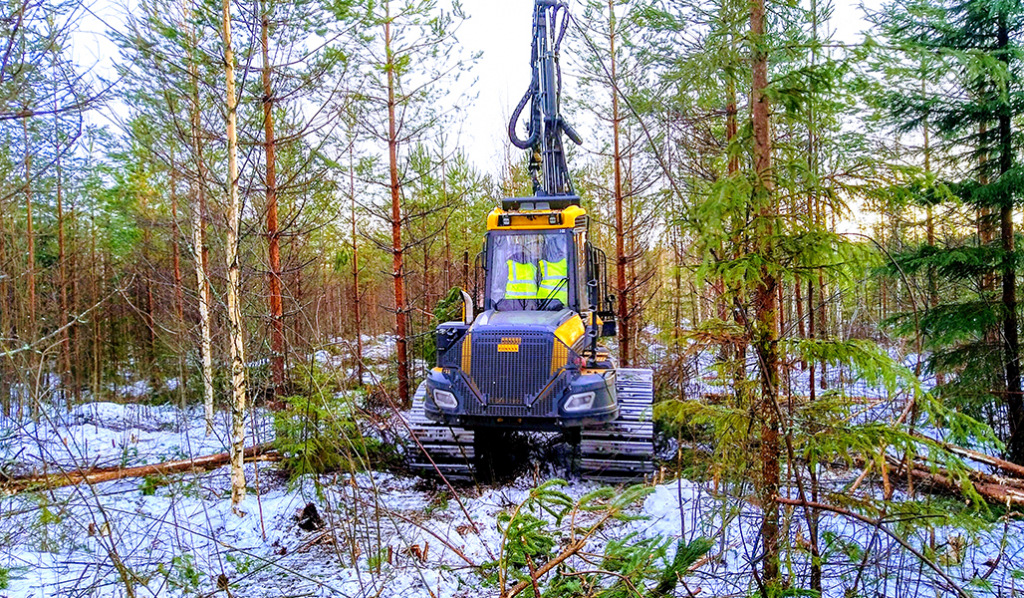 En skogsmaskin i en ung skog på vintern.