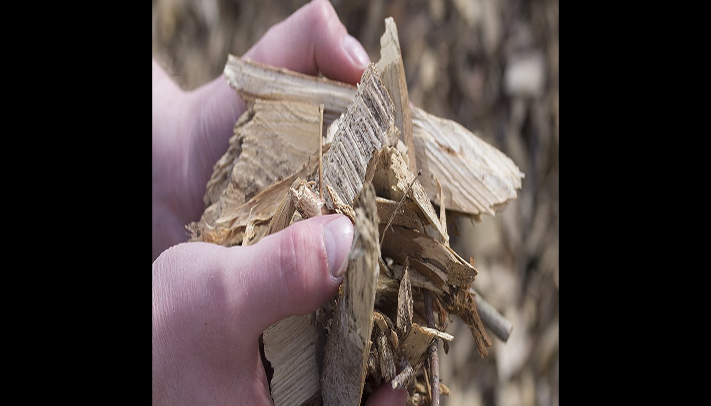 Närbild på händer som håller flis.