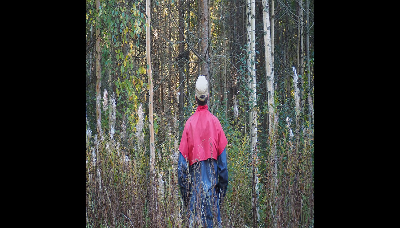 En man står med ryggen till och betraktar en skog som skulle behöva gallras.