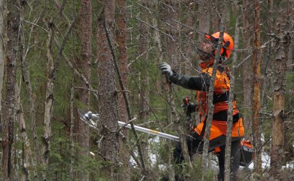 En skogsarbetare utför förröjning i en tät skog. 

