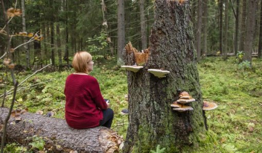 En person sitter med ryggen mot fotografen på en trädstam i skogen.