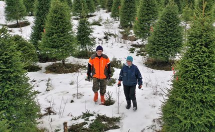 Specialskogsbruk kan ge ökad lönsamhet
