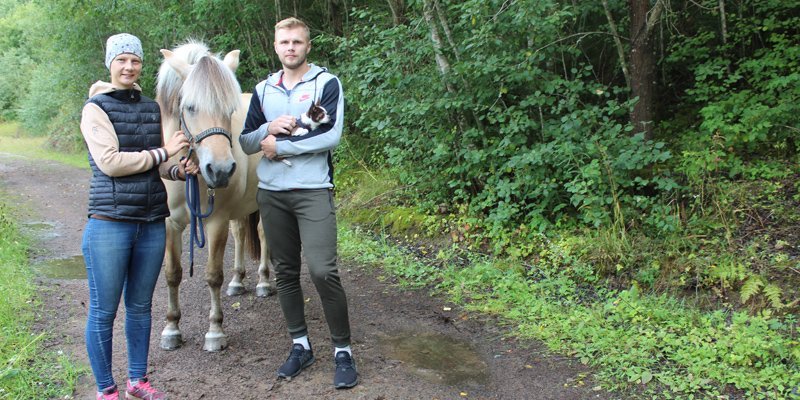 Allt fler skogsägare bor långt från skogen