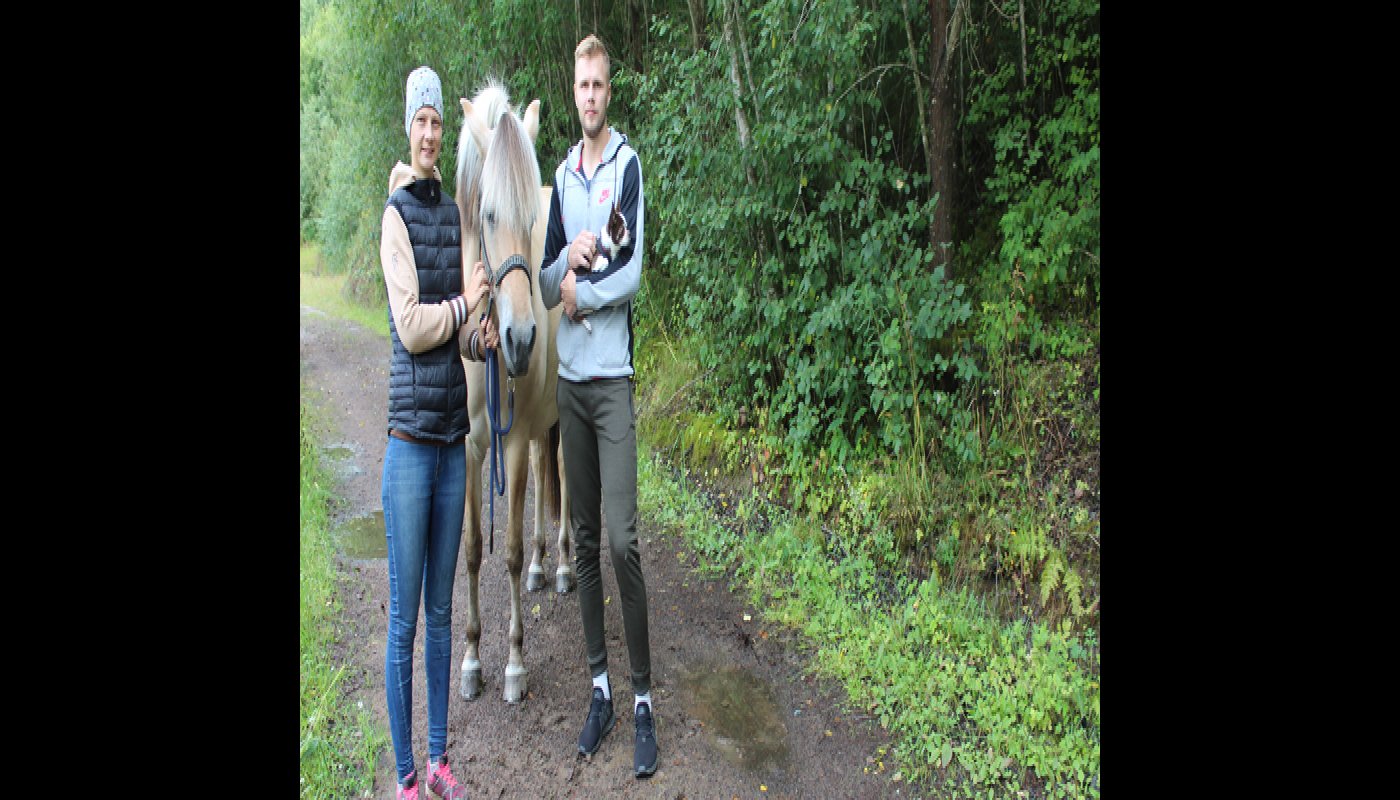 Allt fler skogsägare bor långt från skogen