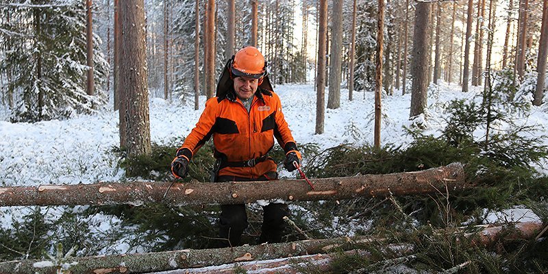 Alpo Särkelä lyfter en trädstam upp på högen.