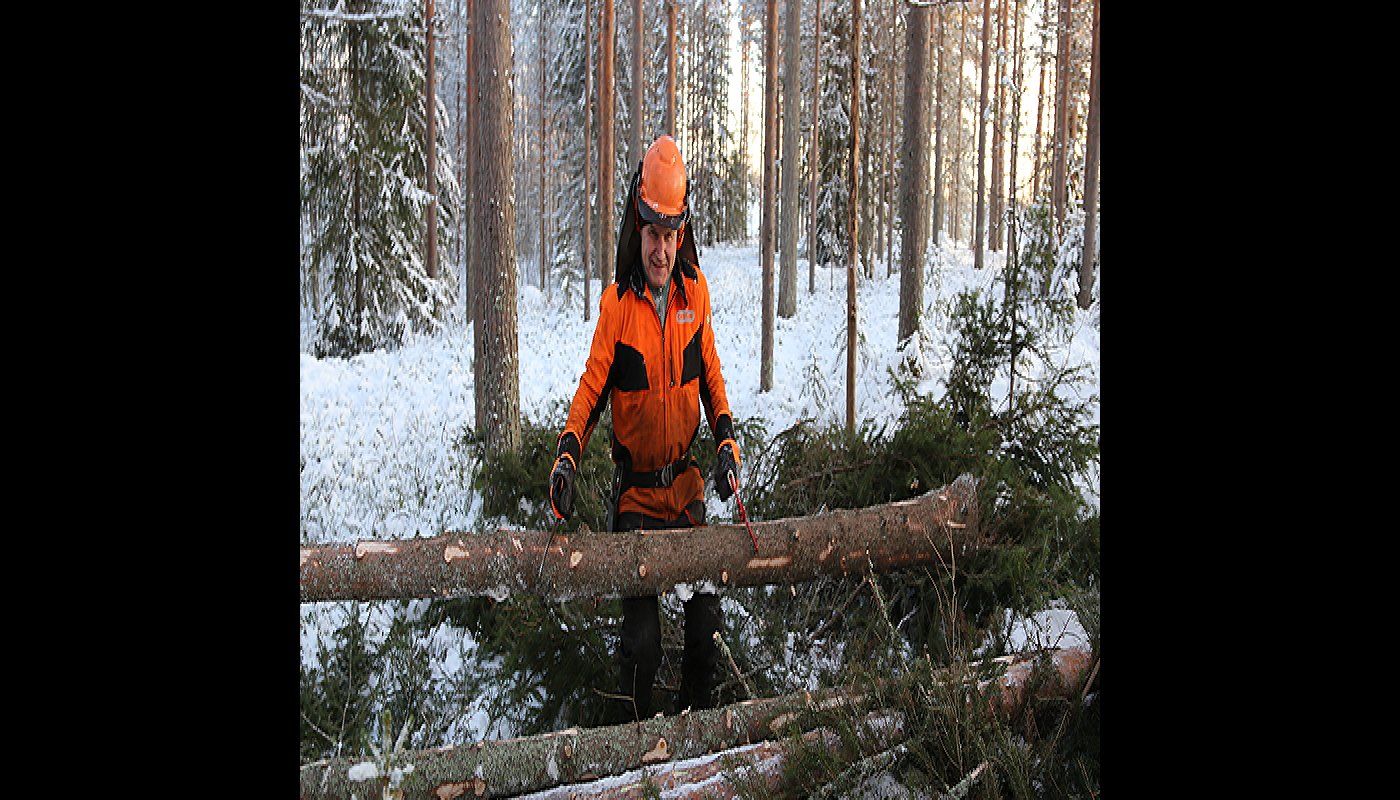 Alpo Särkelä lyfter en trädstam upp på högen.