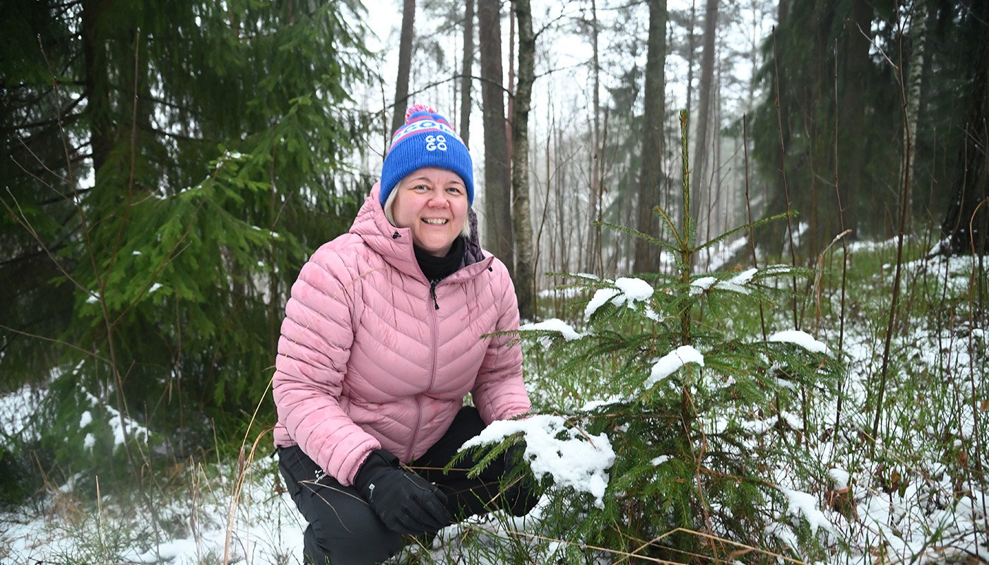 Heli Lehtomäki sitter på huk bredvid en liten gran. 
