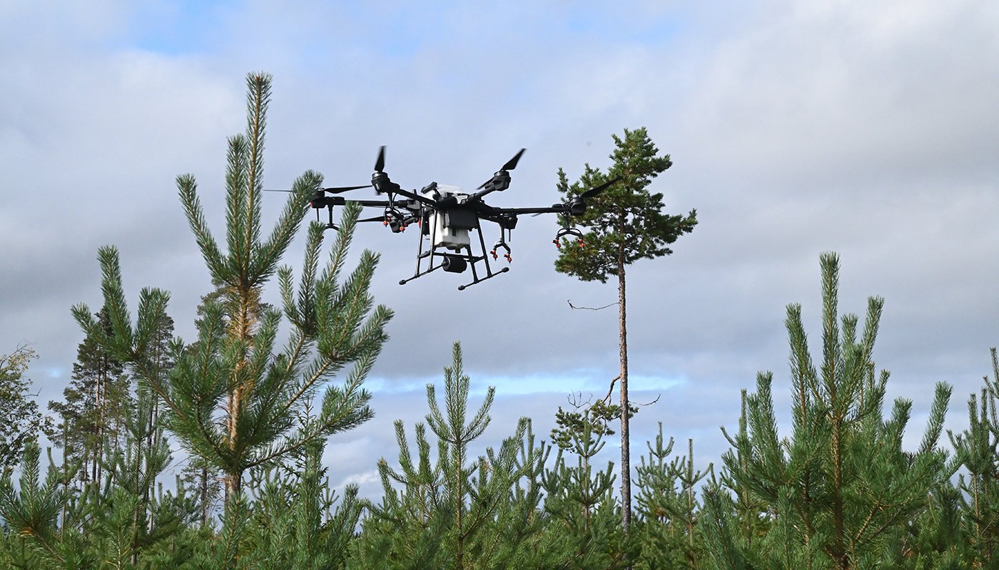 Besprutningsdrönare flyger ovanför plantbeståndet
