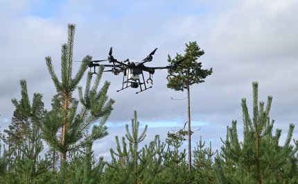 Drönare kan i framtiden underlätta bekämpningen av älgskador