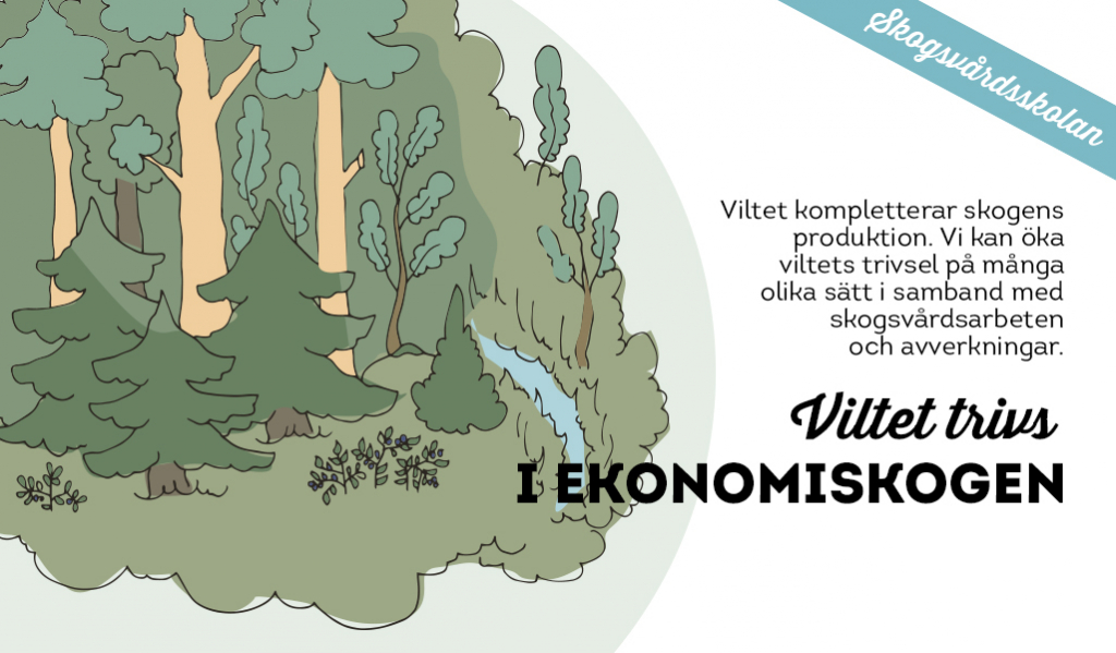 Viltet trivs i ekonomiskogen