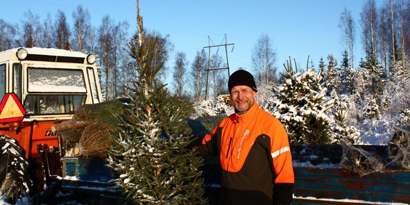 Antti Heikkilä står och håller i en julgran ute på vintern. Bakom honom syns en liten traktor och en ellinje.