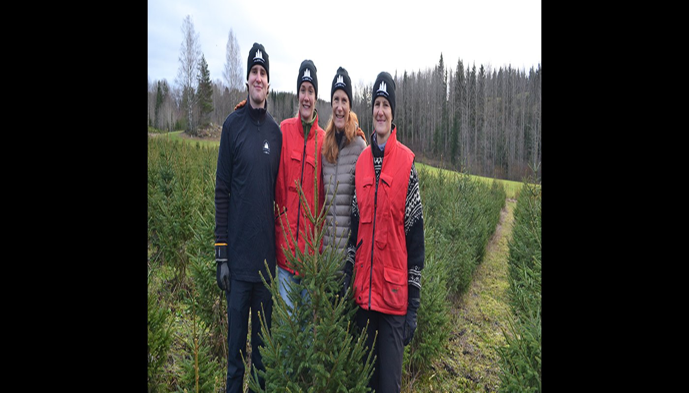 Henrik Nyman, Anja Mattson, Annika Mattson och Madeleine Nyman på julgransodlingen.
