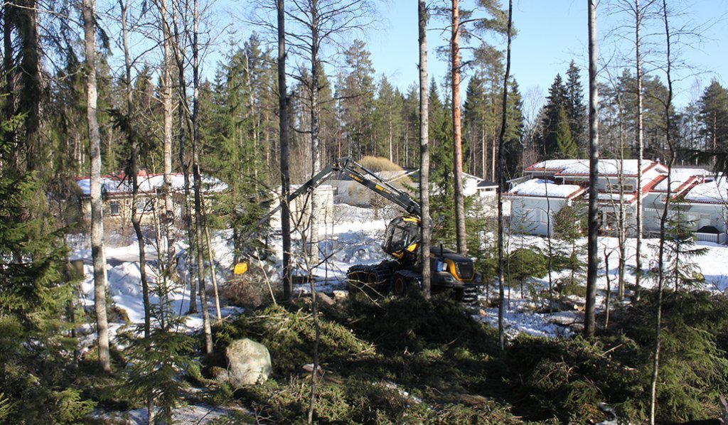 En maskin fäller träd nära några egnahemshus i en tätort på vintern.