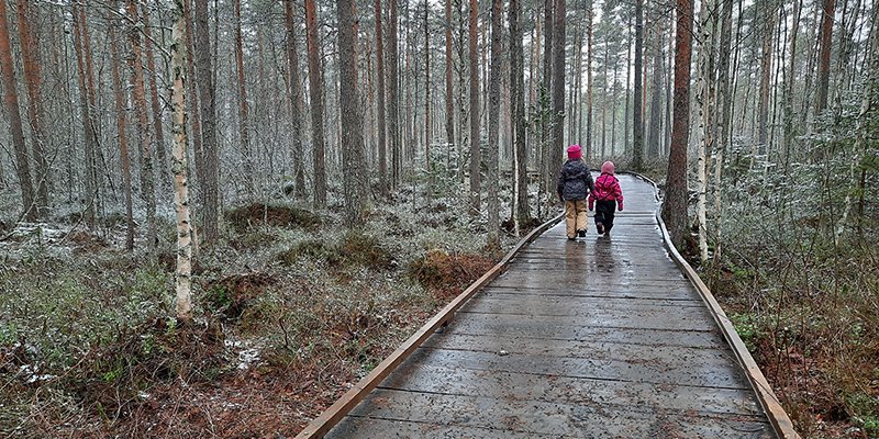 Två barn går på en träbelagd spång i en skog.