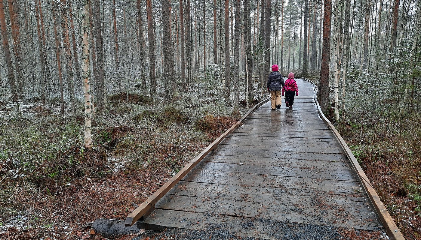Två barn går på en träbelagd spång i en skog.
