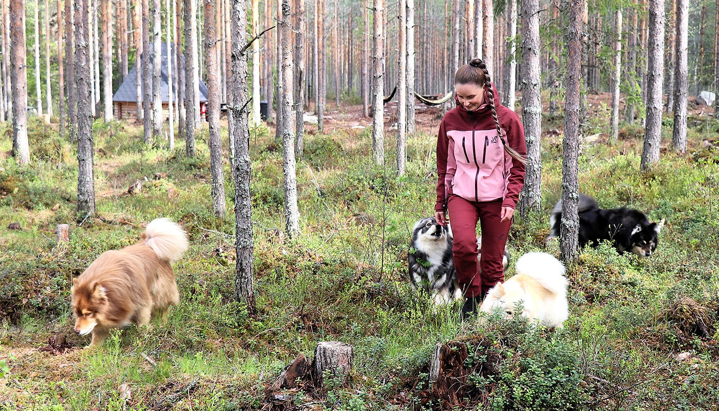 Sara Ala-Luoma och hundar i skogen. 