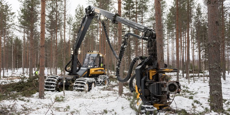 Fem tips för att säkra gallringskvalitén