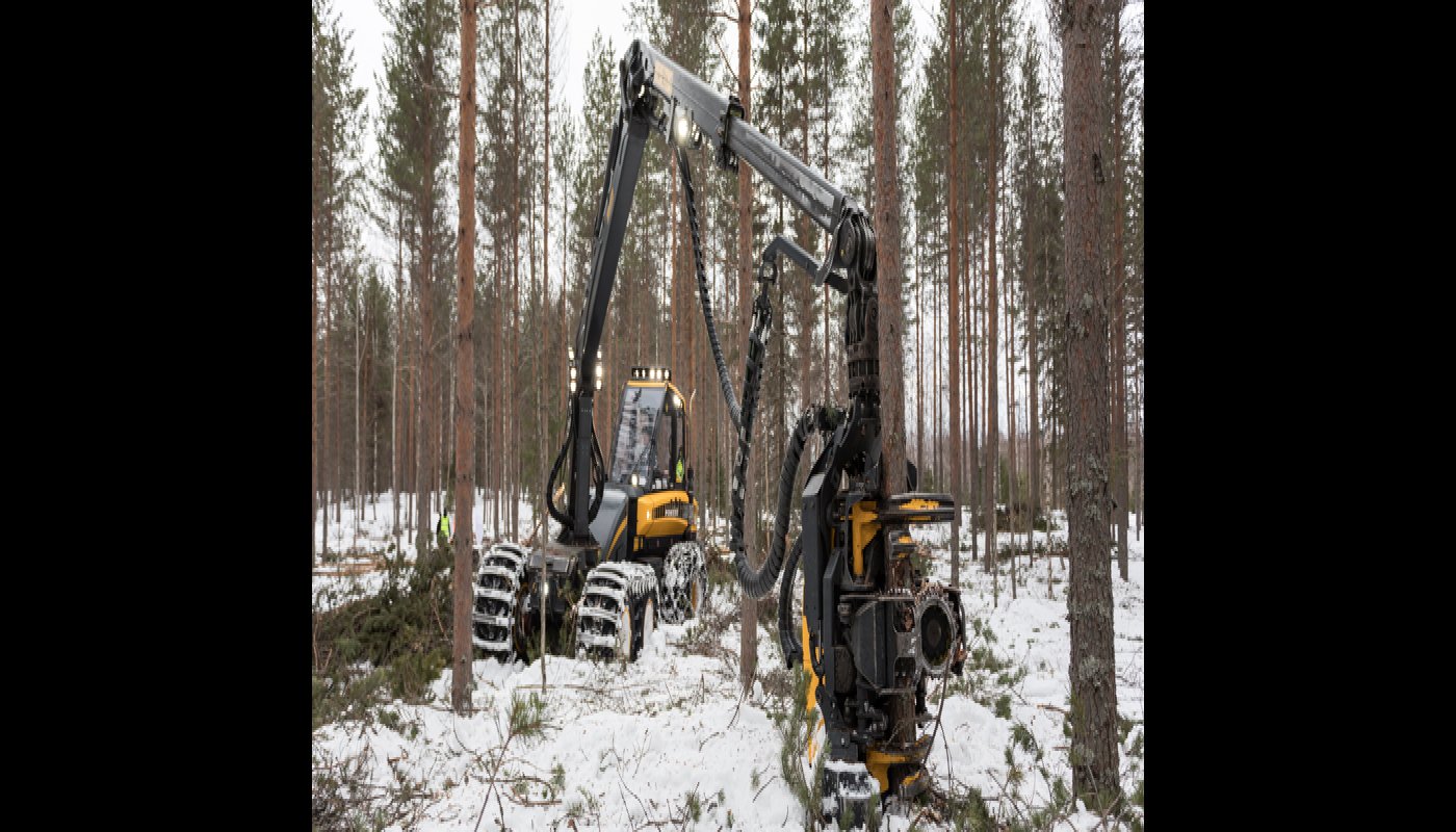 Fem tips för att säkra gallringskvalitén