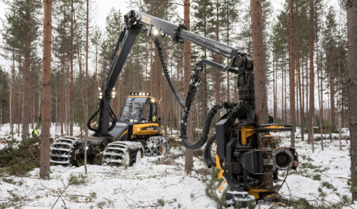 Fem tips för att säkra gallringskvalitén