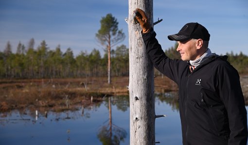 Våtmarken förändrade landskapet i ett huj