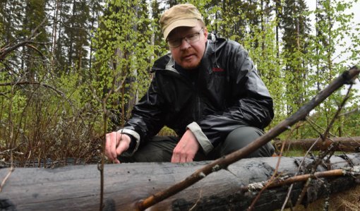 Jarmo Uimonen sitter på huk och inspekterar en brandskadad trädstam på marken.