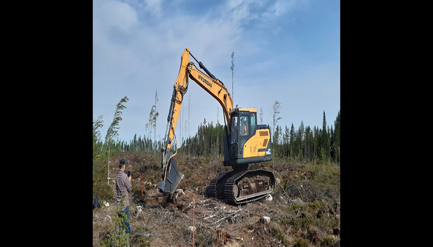 En grävmaskin med sånbingsskopa sår träd på en avverkningsyta. Till vänster står en person och fotograferar.