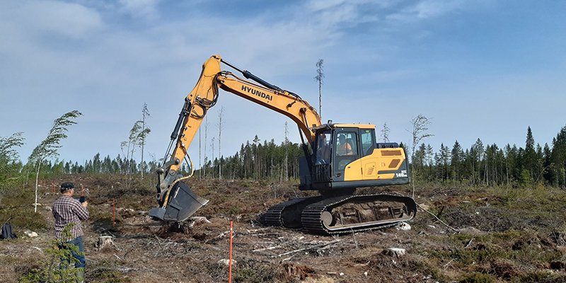 En grävmaskin med sånbingsskopa sår träd på en avverkningsyta. Till vänster står en person och fotograferar.