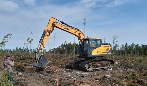 En grävmaskin med sånbingsskopa sår träd på en avverkningsyta. Till vänster står en person och fotograferar.