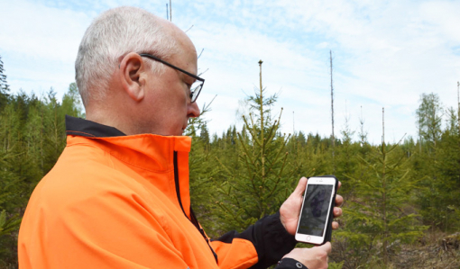 Jyrki Suojalehto tittar på sin mobiltelefon, där han har Laatumetsä-appen nerladdad. I bakgrunden syns plantskog.