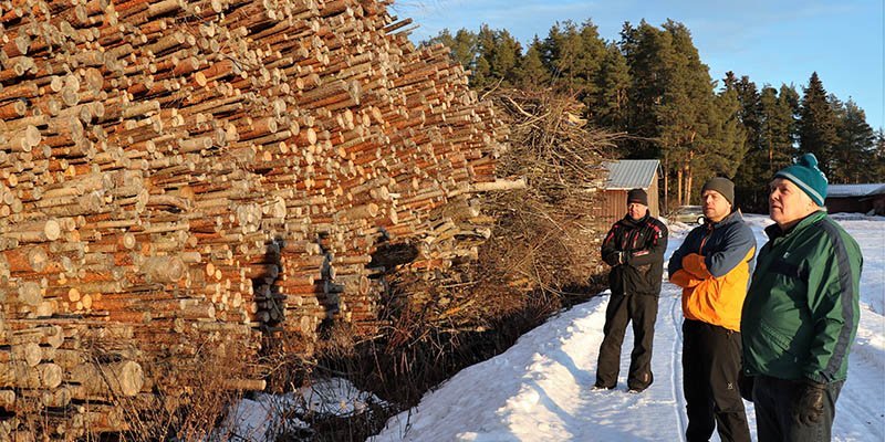 Mikko, Antti och Ville Palomäki står framför en hög trave virke som ska flisas. Snön ligger på marken och solen skiner.