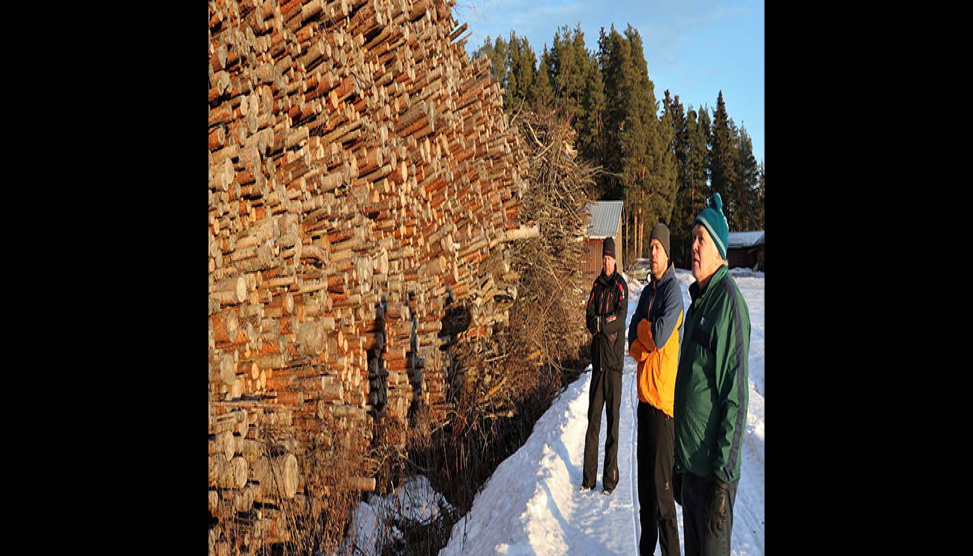 Mikko, Antti och Ville Palomäki står framför en hög trave virke som ska flisas. Snön ligger på marken och solen skiner.