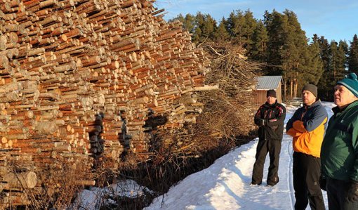 Mikko, Antti och Ville Palomäki står framför en hög trave virke som ska flisas. Snön ligger på marken och solen skiner.
