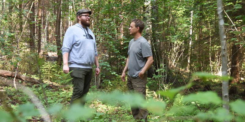 Skogsägaren Tero Ahava och naturvårdsexperten Jukka Ruutiainen står i hassellunden och diskuterar. Växtligheten runtomkring dem är grön och frodig.