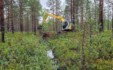 För hurdana naturvårdsarbeten kan man få stöd? – 3 exempel