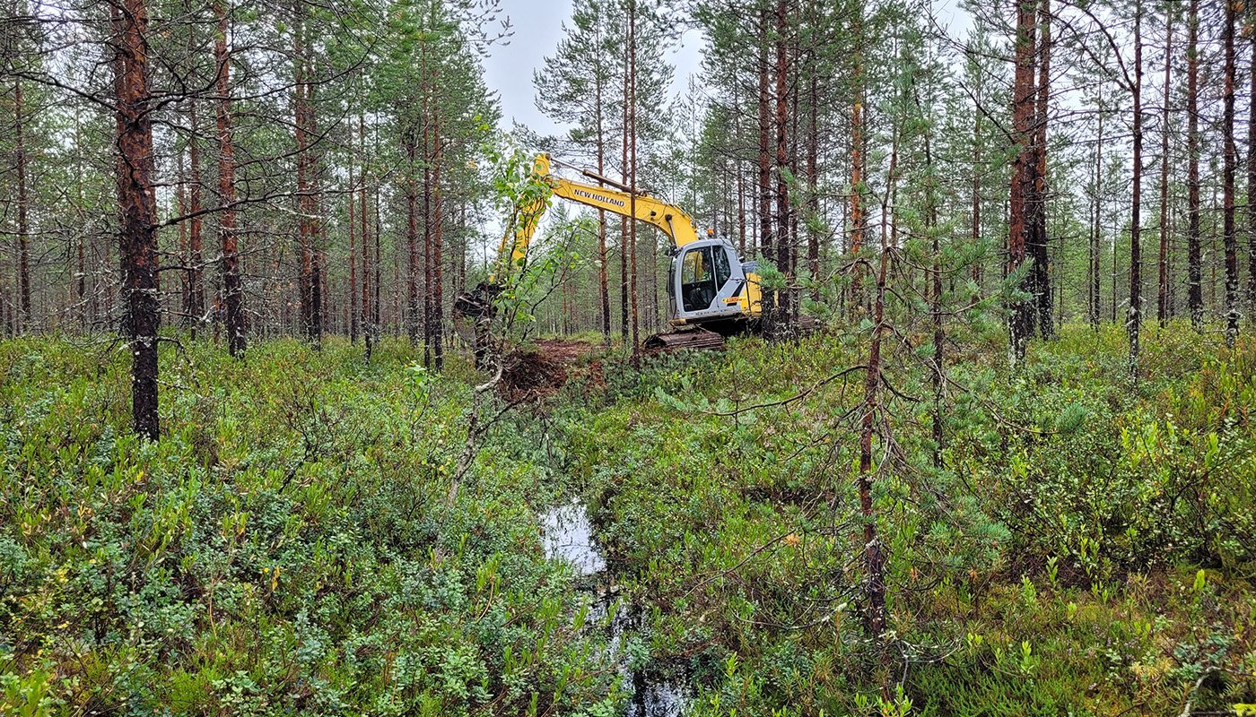 En grävmaskin dämmer ett dike i en torvskog.