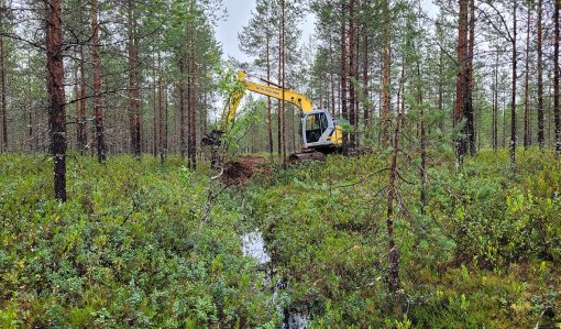 För hurdana naturvårdsarbeten kan man få stöd? – 3 exempel