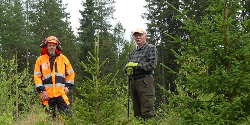 Goda val i plantskogen bär långt