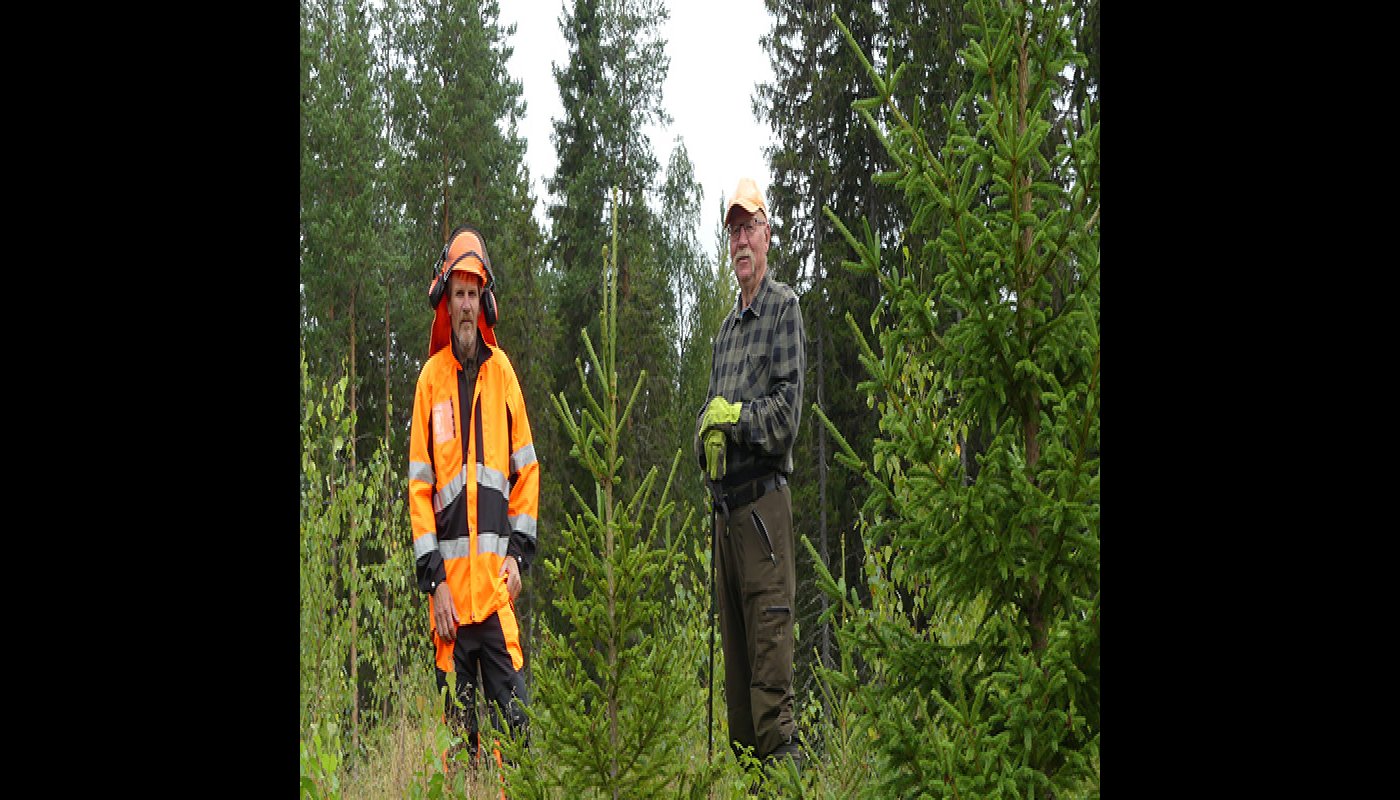 Goda val i plantskogen bär långt