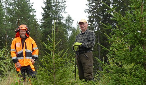 Goda val i plantskogen bär långt