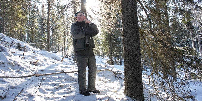 Timo Nissinen står i skogen som nu är skyddad permanent. Solen skiner bakom honom, och det är snö på marken.