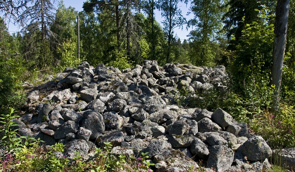 Bilden visar ett gravröse i skogen. Gravröset består av stenbumlingar.