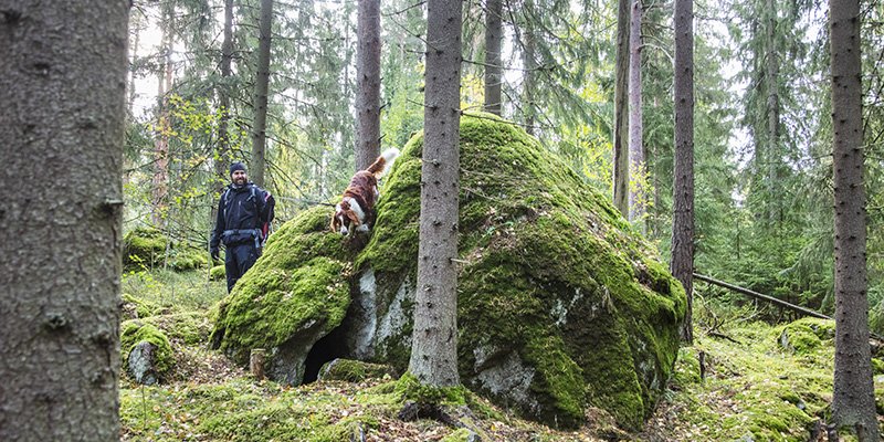En person rastar en hund i skogen.  
