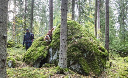 Skogsarbete, rekreation och nya produkter