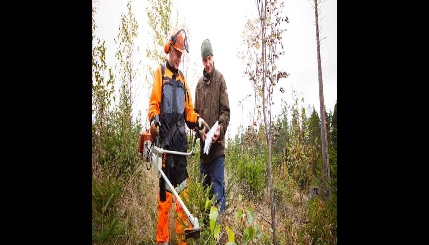 Bilden visar en skogsarbetare och en skogsägare som tillsammans studerar en blankett för egenkontroll i en höstlig skog. Skogsarbetaren håller en röjsåg i handen.