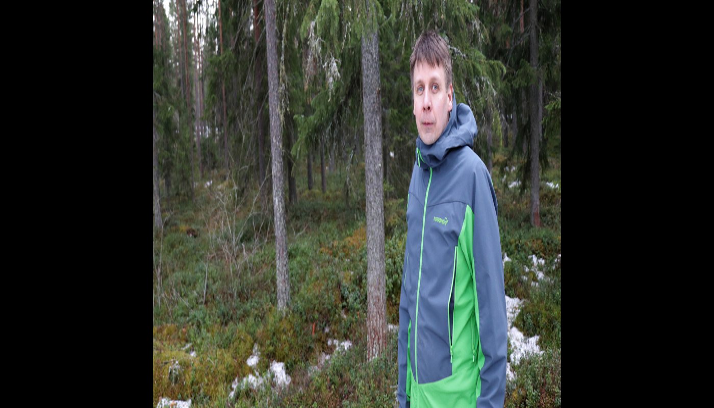 Behov för kalkyler i skogsbruket